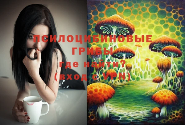 спиды Осинники