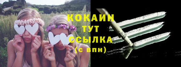 дурь Осташков