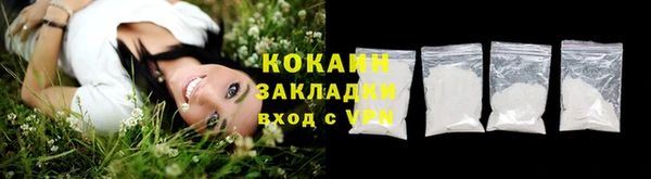 дурь Осташков