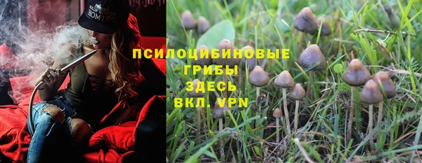 прущая мука Остров