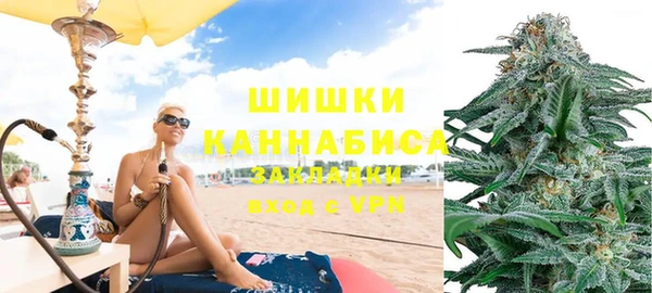дурь Осташков