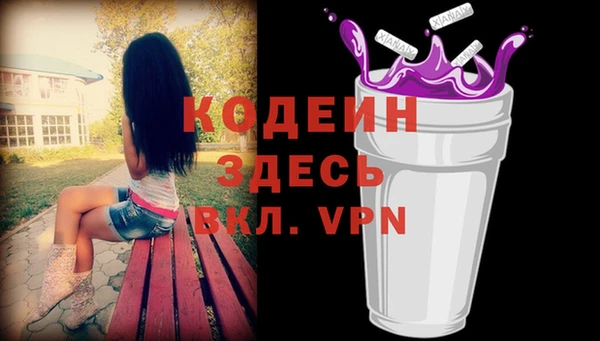 дурь Осташков