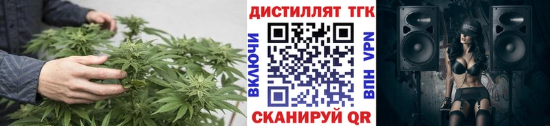 ТГК концентрат  Почеп 