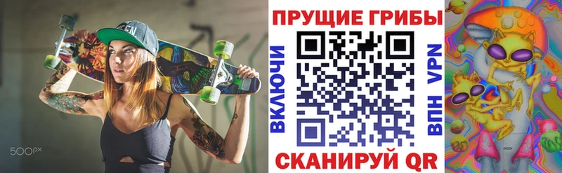 купить  цена  Почеп  Псилоцибиновые грибы Magic Shrooms 