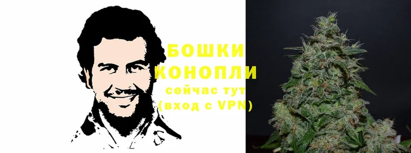 OMG   Почеп  Конопля OG Kush 